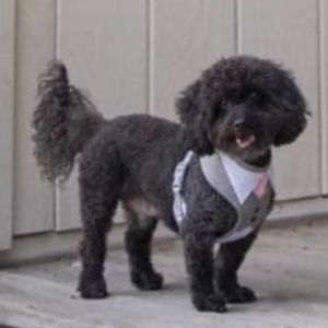 Meet your Posher, Kelly